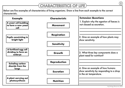 characteristics of life worksheet answers